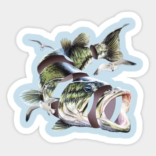 Flying Fish Sticker